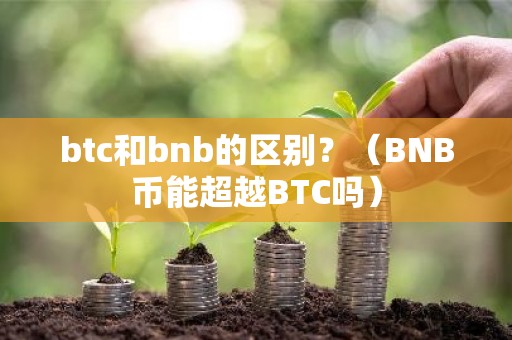 btc和bnb的区别？（BNB币能超越BTC吗）