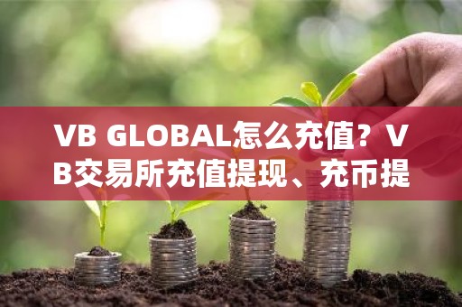 VB GLOBAL怎么充值？VB交易所充值提现、充币提币全教程