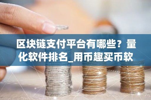 区块链支付平台有哪些？量化软件排名_用币趣买币软件