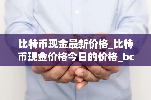 比特币现金最新价格_比特币现金价格今日的价格_bch币钱包_20221226-比特号