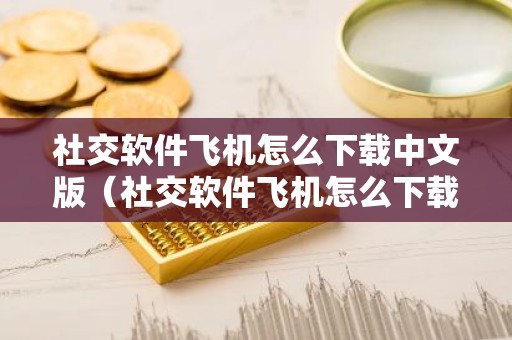 社交软件飞机怎么下载中文版（社交软件飞机怎么下载中文版苹果）