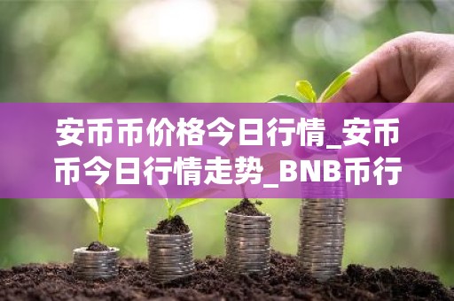 安币币价格今日行情_安币币今日行情走势_BNB币行情