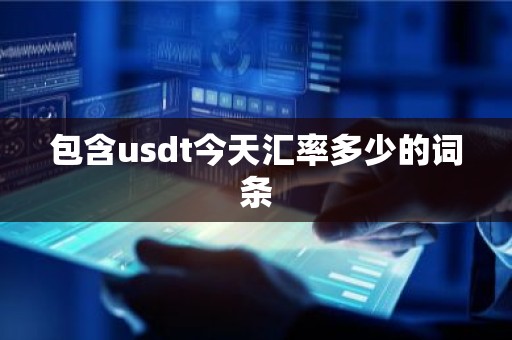 包含usdt今天汇率多少的词条