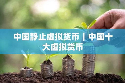 中国静止虚拟货币｜中国十大虚拟货币