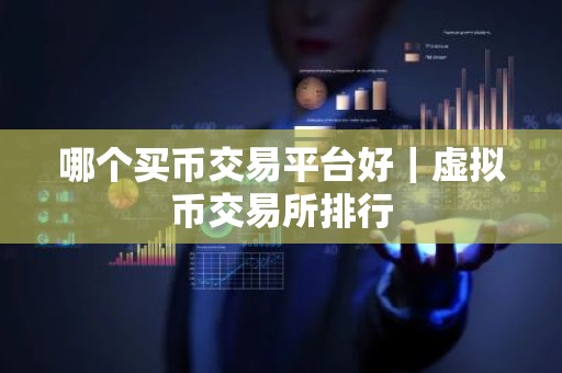 哪个买币交易平台好｜虚拟币交易所排行