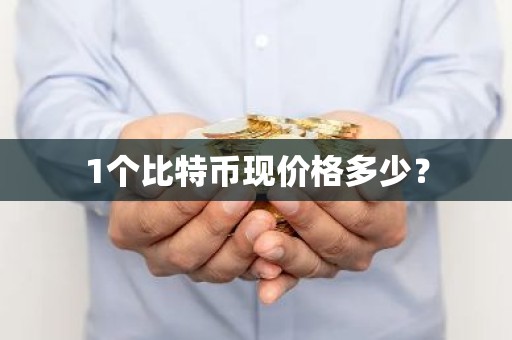 1个比特币现价格多少？