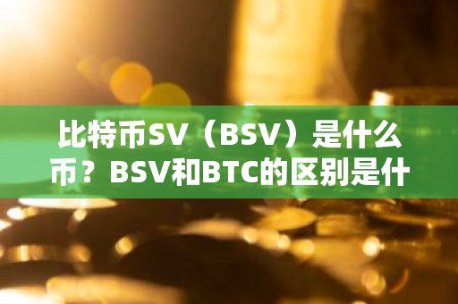 比特币SV（BSV）是什么币？BSV和BTC的区别是什么