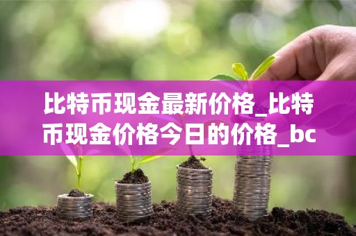 比特币现金最新价格_比特币现金价格今日的价格_bch币钱包_20221226-比特号