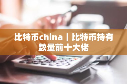 比特币china｜比特币持有数量前十大佬