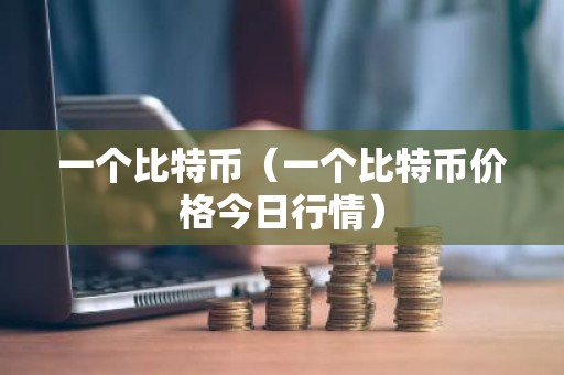 一个比特币（一个比特币价格今日行情）