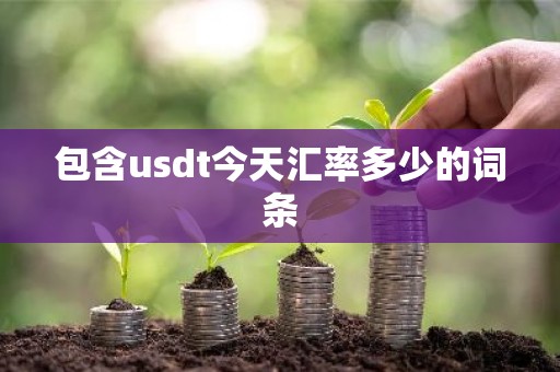 包含usdt今天汇率多少的词条