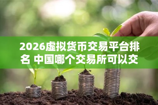 2026虚拟货币交易平台排名 中国哪个交易所可以交易虚拟货币