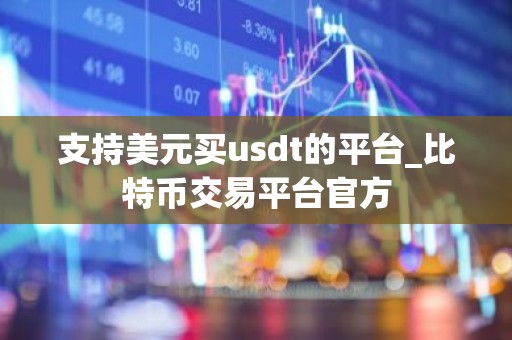 支持美元买usdt的平台_比特币交易平台官方