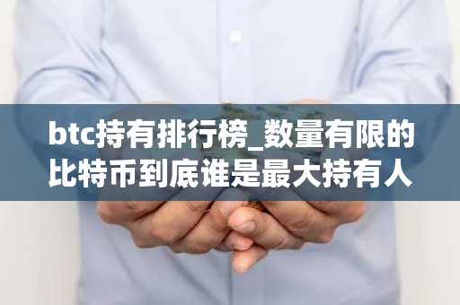 btc持有排行榜_数量有限的比特币到底谁是最大持有人