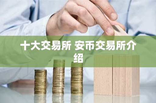 十大交易所 安币交易所介绍