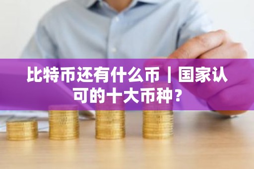 比特币还有什么币｜国家认可的十大币种？