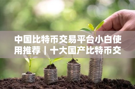 中国比特币交易平台小白使用推荐｜十大国产比特币交易平台排行榜