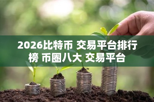 2026比特币 交易平台排行榜 币圈八大 交易平台
