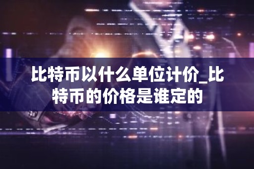 比特币以什么单位计价_比特币的价格是谁定的
