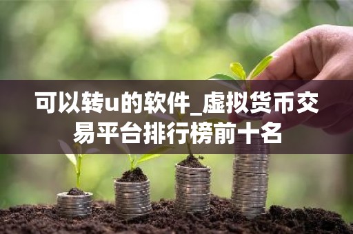 可以转u的软件_虚拟货币交易平台排行榜前十名