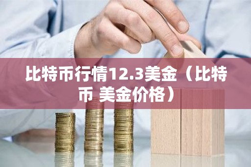 比特币行情12.3美金（比特币 美金价格）