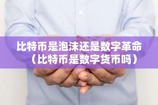 比特币是泡沫还是数字革命（比特币是数字货币吗）
