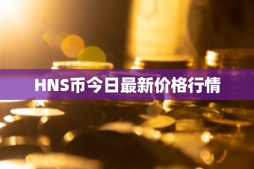 HNS币今日最新价格行情