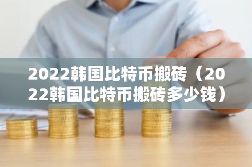 2022韩国比特币搬砖（2022韩国比特币搬砖多少钱）