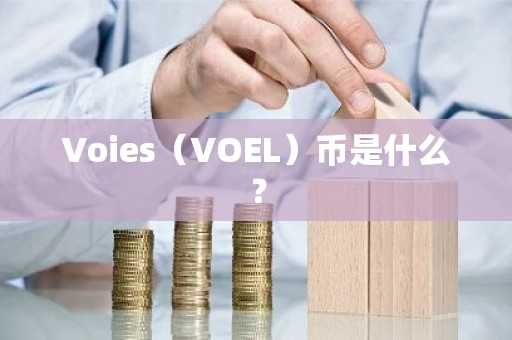 Voies（VOEL）币是什么？