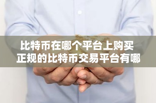 比特币在哪个平台上购买 正规的比特币交易平台有哪些