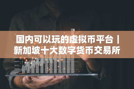 国内可以玩的虚拟币平台｜新加坡十大数字货币交易所