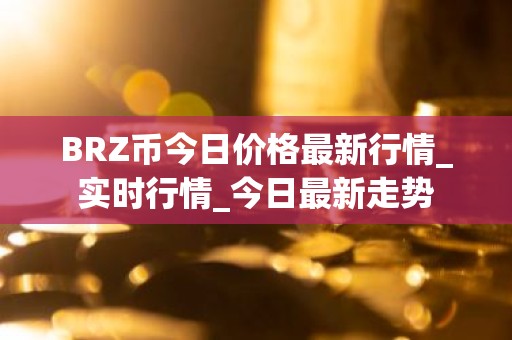 BRZ币今日价格最新行情_实时行情_今日最新走势