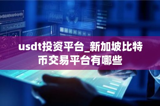 usdt投资平台_新加坡比特币交易平台有哪些