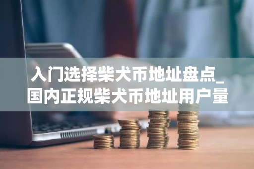 入门选择柴犬币地址盘点_国内正规柴犬币地址用户量排名