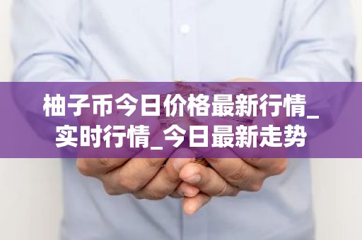 柚子币今日价格最新行情_实时行情_今日最新走势