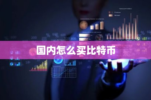 国内怎么买比特币