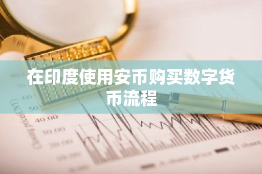 在印度使用安币购买数字货币流程