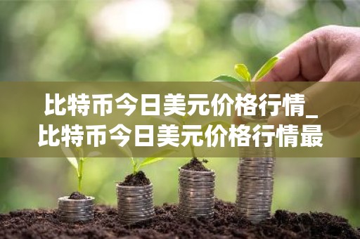 比特币今日美元价格行情_比特币今日美元价格行情最新