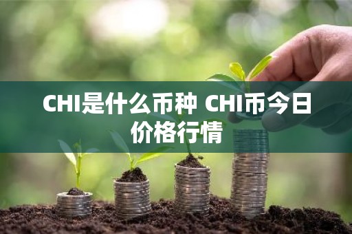 CHI是什么币种 CHI币今日价格行情