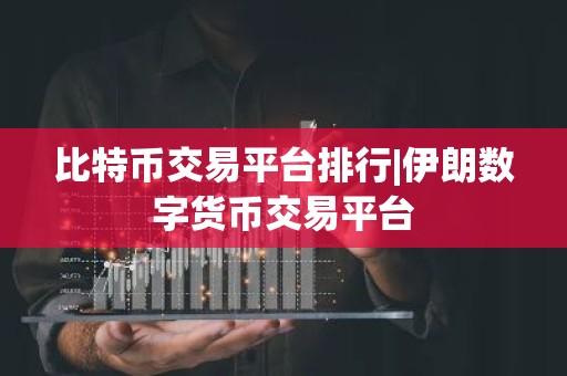 比特币交易平台排行|伊朗数字货币交易平台