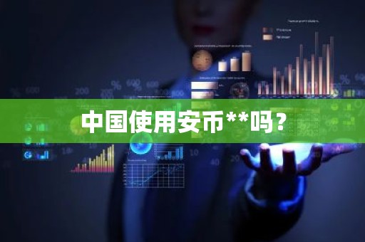 中国使用安币**吗？