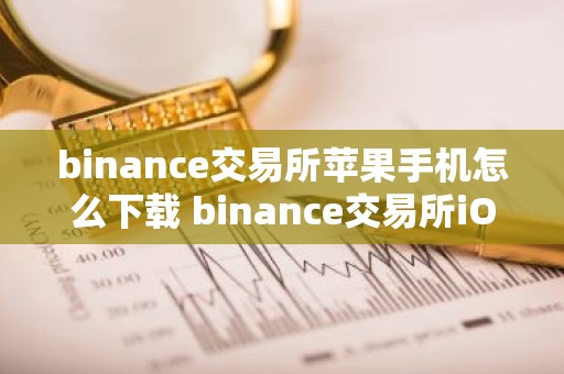 binance交易所苹果手机怎么下载 binance交易所iOS版下载指南