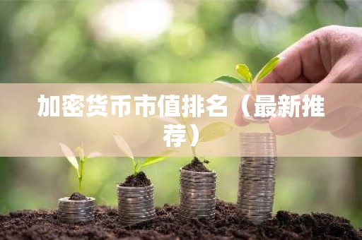 加密货币市值排名（最新推荐）