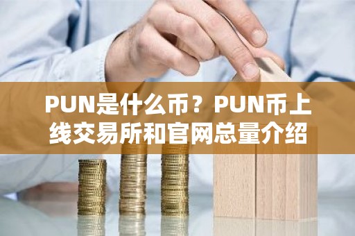 PUN是什么币？PUN币上线交易所和官网总量介绍