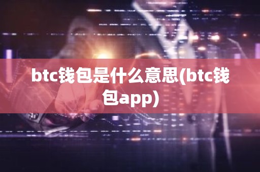 btc钱包是什么意思(btc钱包app)