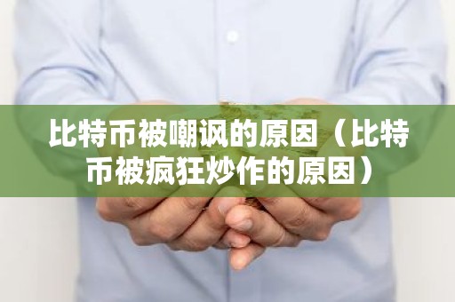 比特币被嘲讽的原因（比特币被疯狂炒作的原因）
