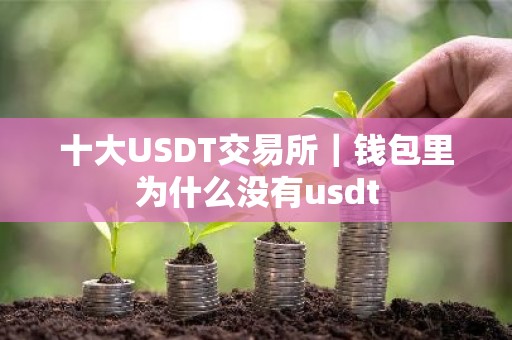 十大USDT交易所｜钱包里为什么没有usdt