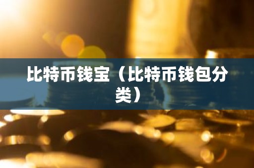 比特币钱宝（比特币钱包分类）