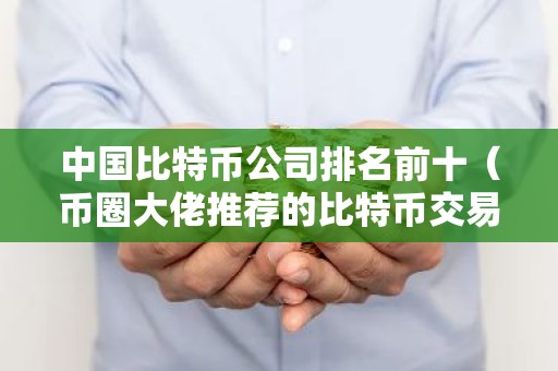 中国比特币公司排名前十（币圈大佬推荐的比特币交易平台）