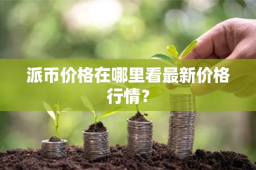 派币价格在哪里看最新价格行情？